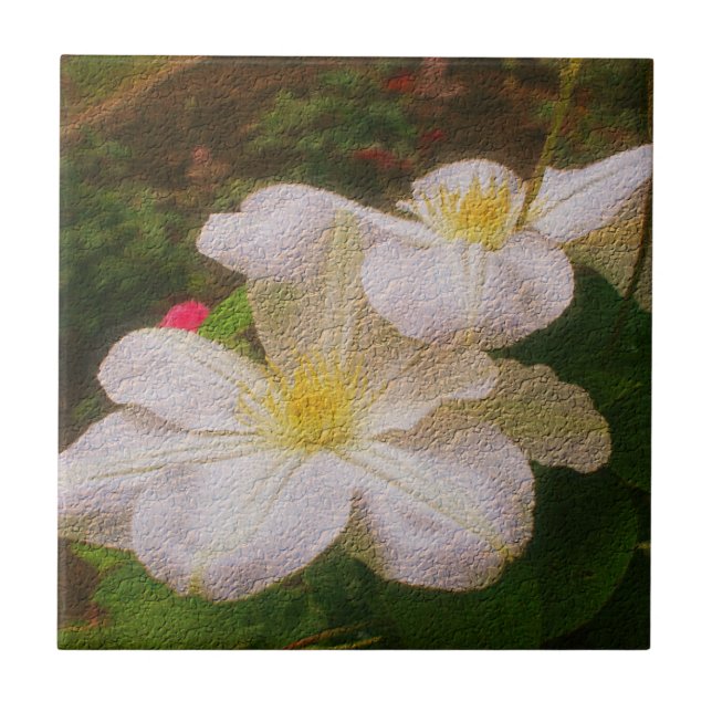 Delicate White Clematis Flower Tile (Front)
