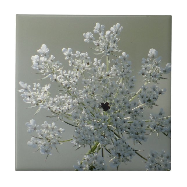 Delicate white flowers tile (Front)