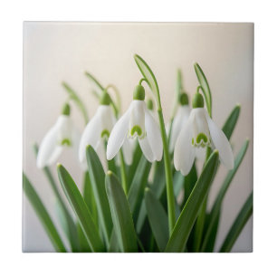 Delicate White Snowdrop Flowers Spring Bloom Tile