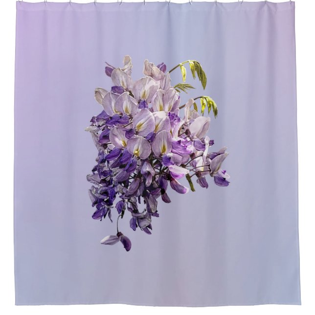 Delicate Wisteria (Front)
