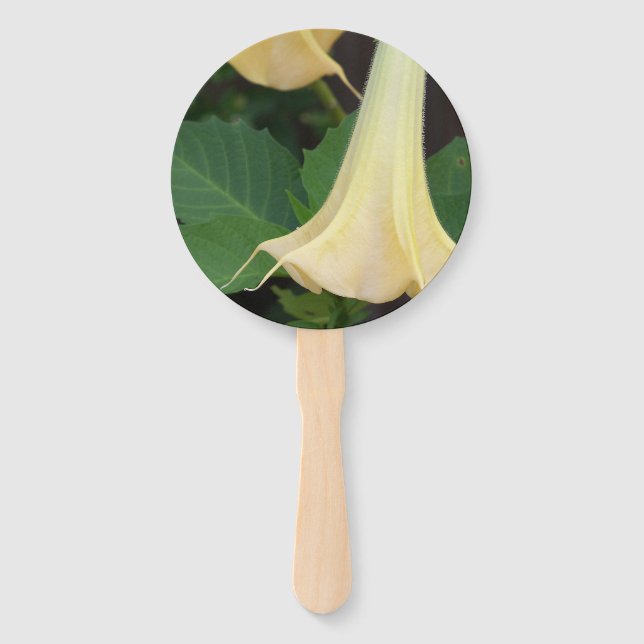 Delicate yellow Angels Trumpet flower Hand Fan (Front)