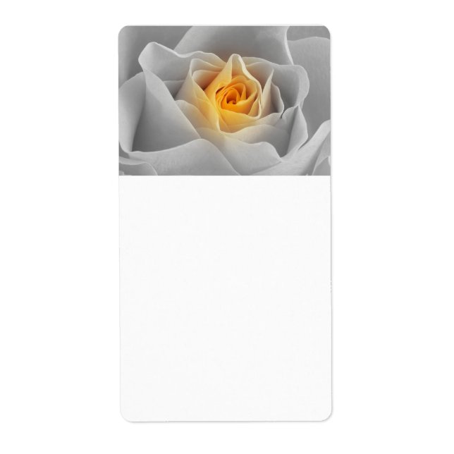 Delicate Yellow  Rose (Front)