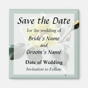 Delicate Yellow Rose Save the Date Magnet