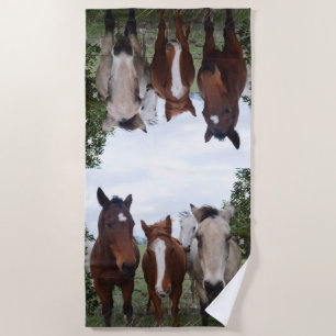 Délicieux problèmes de cheval, Serviette de plage