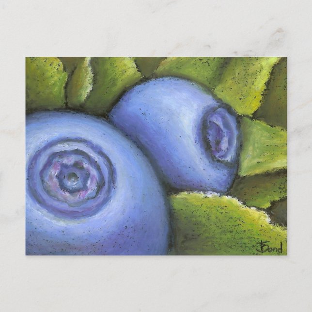 Delicious Blueberries Postcard (Front)