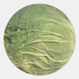 Delicious Cabbage Classic Round Sticker