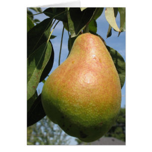 Delicious Pear
