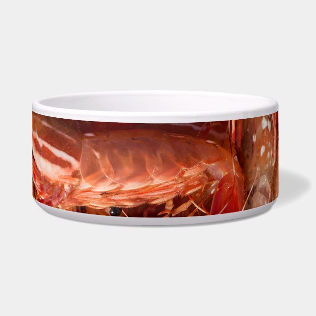 Delicious Prawns (Front)