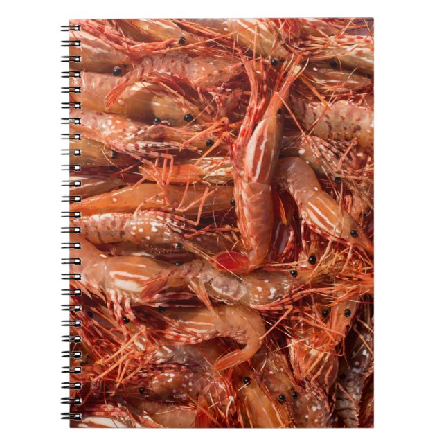 Delicious Prawns Notebook (Front)