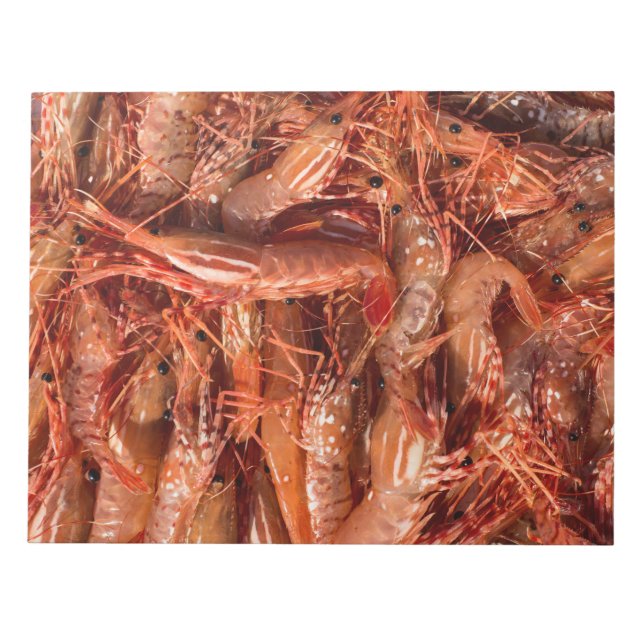 Delicious Prawns Notepad (Front)