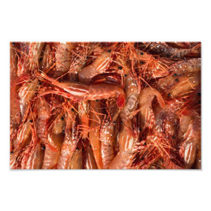 Delicious Prawns Photo Print