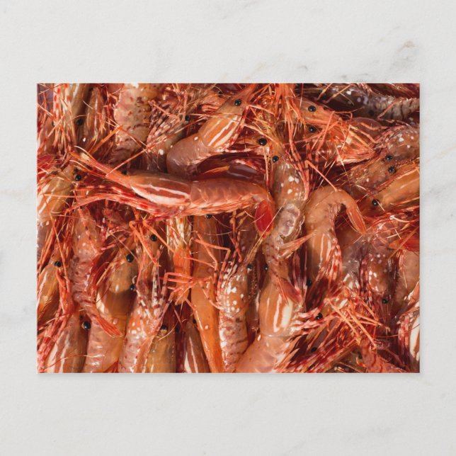 Delicious Prawns Postcard (Front)
