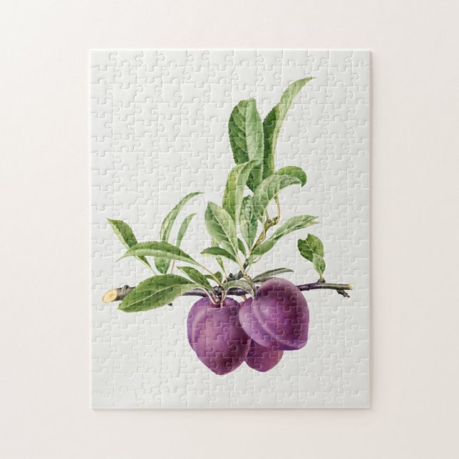 Delicious Purple Plum in a Branch Painting Jigsaw Puzzle (Vertical)