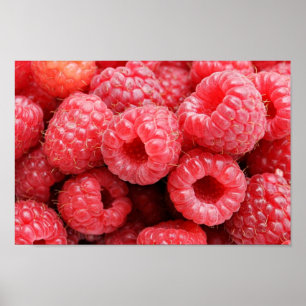 Delicious Raspberries Poster