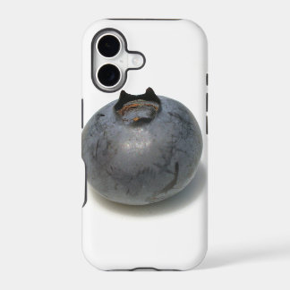 Delicious Single Blueberry Fruit