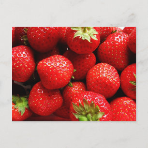 Delicious Strawberries Postcard