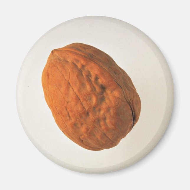 Delicious Walnut Magnet (Front)