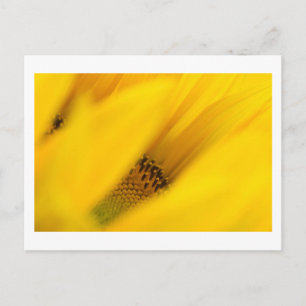 delight in mystery postcard