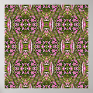 Delighted Sweetpeas..... Poster