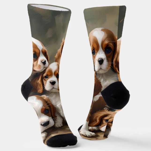 Delightful Brood Of Cavalier Spaniel Puppies, Socks (Angled)
