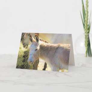 Delightful Donkey Greeting Card