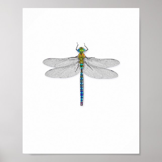 Delightful Dragonfly Art Print Poster (Front)