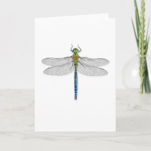 Delightful Dragonfly Card