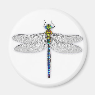 Delightful Dragonfly magnet