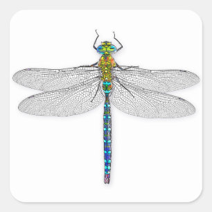 Delightful Dragonfly Square Sticker