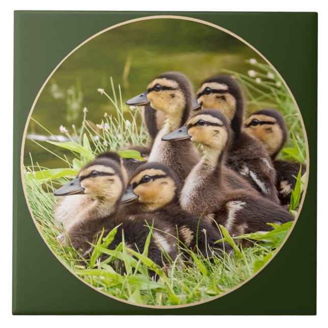 Delightful Ducklings Tile (Front)