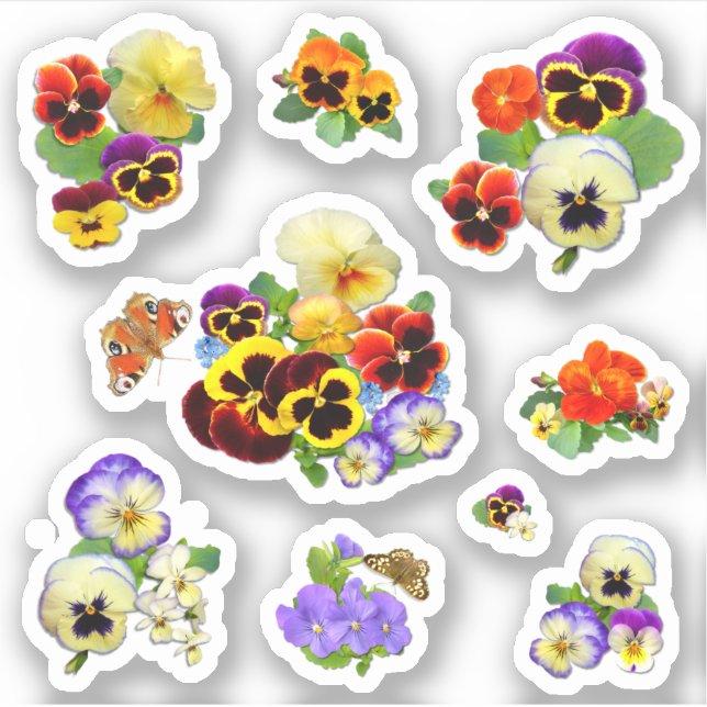Delightful Pansies Contour (Front)