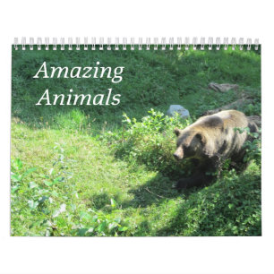 Delightful Wild Animals in Nature  Calendar