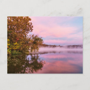 Delightfully Pink Morning Postcard