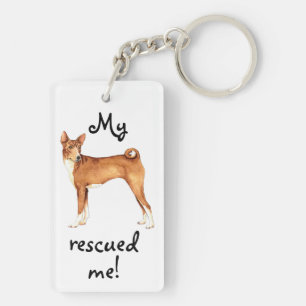 Délivrance Basenji