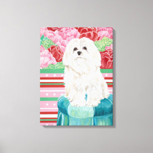 Della Rose Maltese Canvas Print