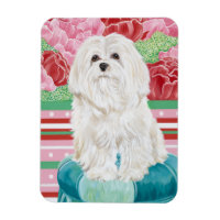 Della Rose Maltese