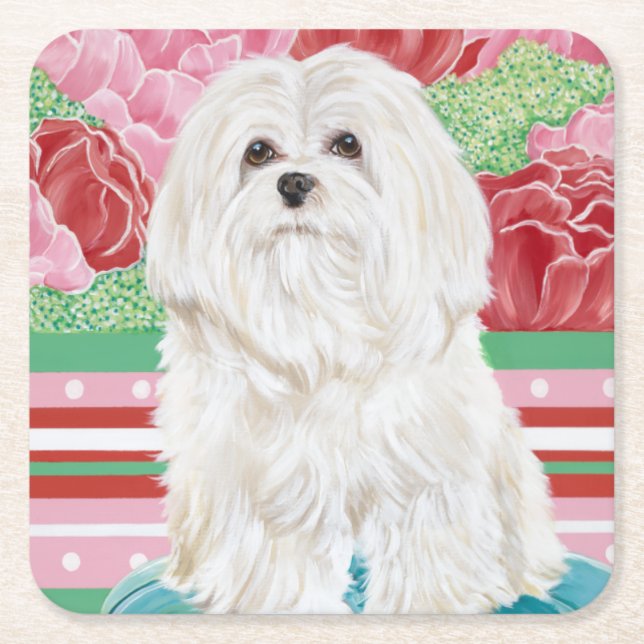 Della Rose Maltese Square Paper Coaster (Front)