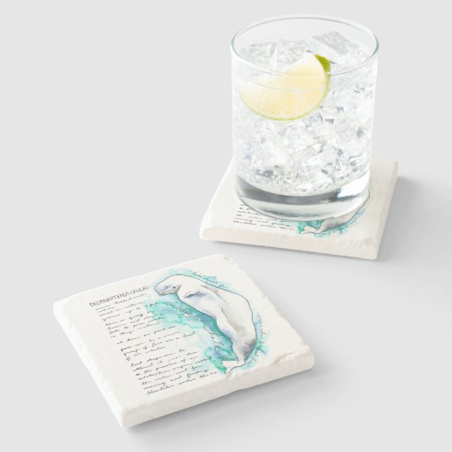 Delphinapterus Leucas Beluga Whale Stone Coaster (Side)