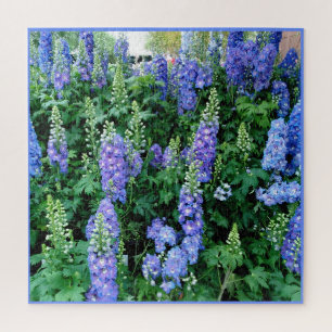 Delphinium Beautiful Blue Flowers Jigsaw Puzzle
