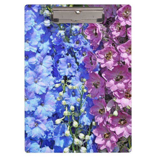 Delphinium beauty clipboard (Front)