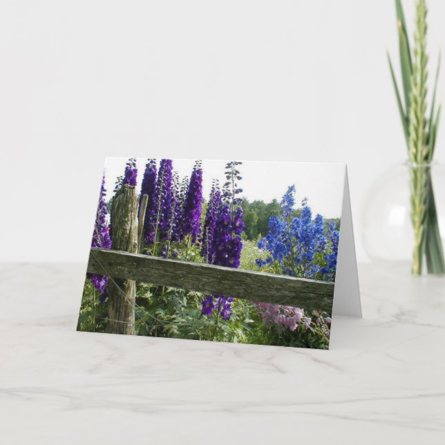 Delphiniums Card (Front)