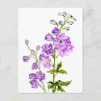 Delphiniums violets dans la carte postale aquarell