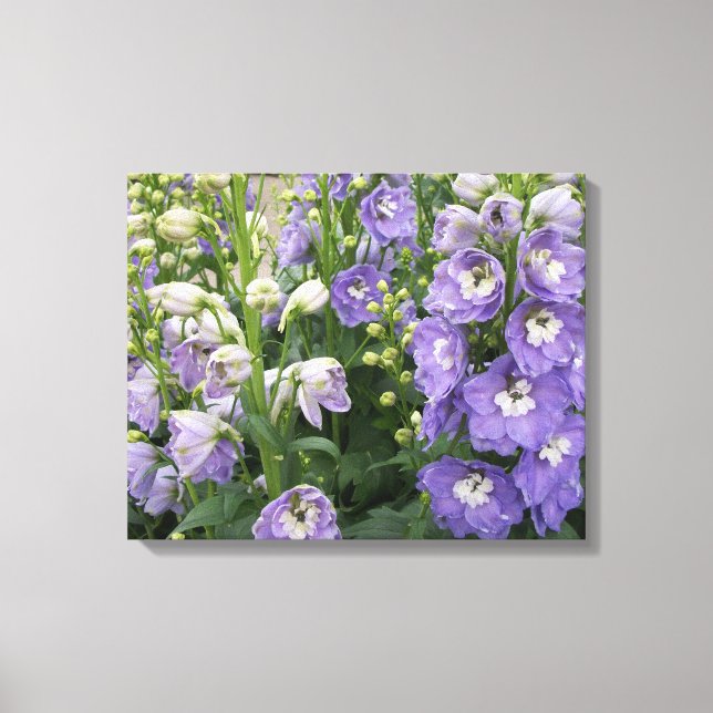 Delphinum Flowers Wrapped Canvas (Front)