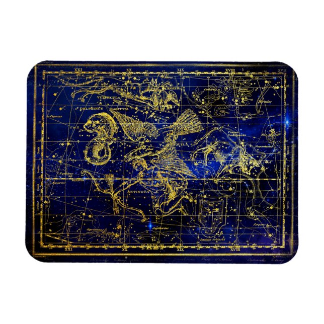 delphinus constellation magnet (Horizontal)