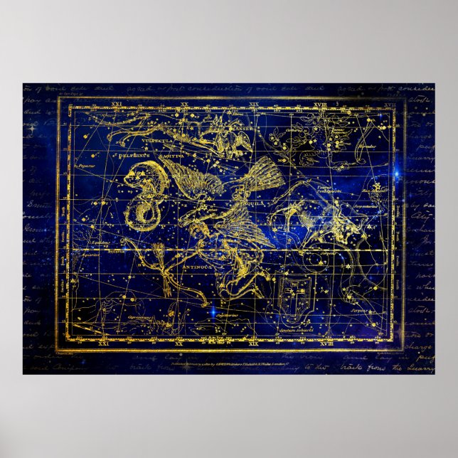 delphinus constellation poster (Front)