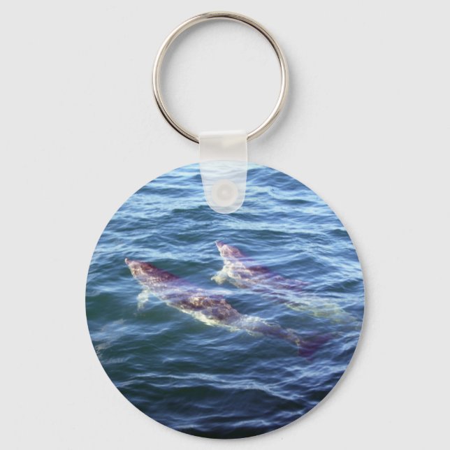 Delphinus delphis keychain (Front)