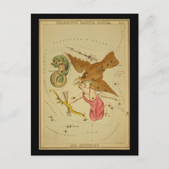 Delphinus, Sagitta, Aquila, and Antinous Postcard (Front)