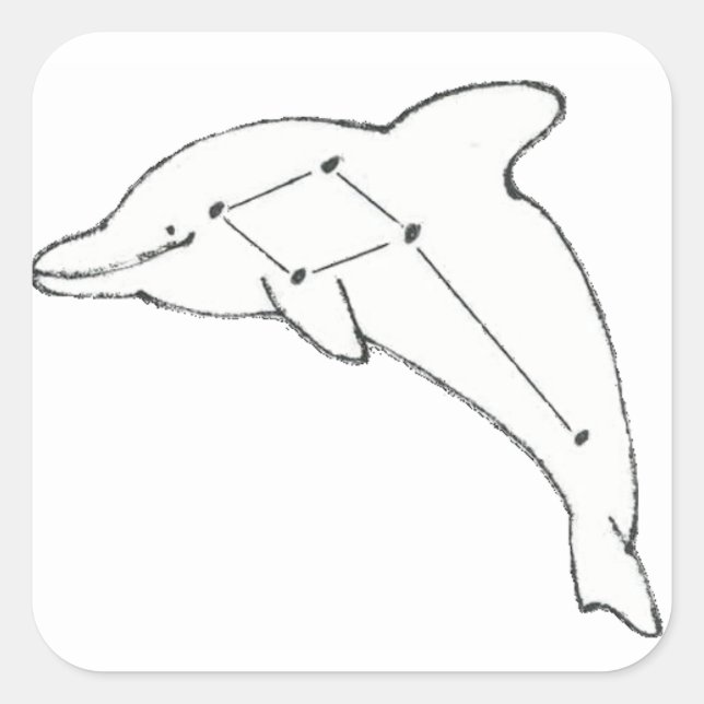 DelphinusAirways Sticker (Front)