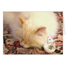 Demain, Nous Attrapons Le Point Rouge