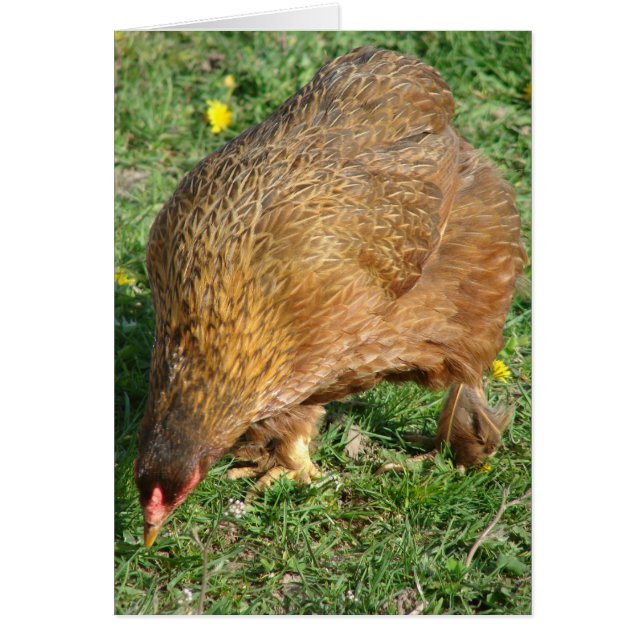 Démarre le Hen (Devant)